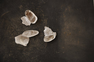 Beauty is uncovered in simple things